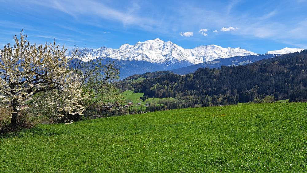 Balade aux portes des alpages - sentier pédestre_Cordon