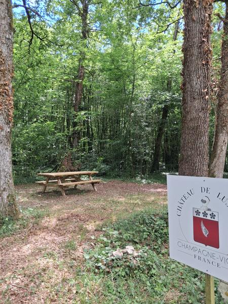 Aire de pique-nique du Château de Lussaud