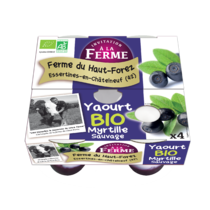 yaourt bio à la myrtille