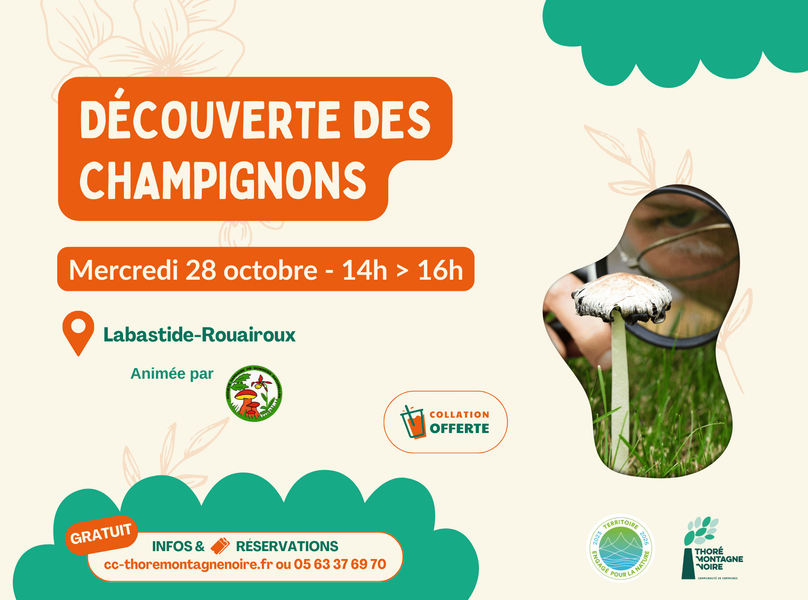 À la découverte des champignons