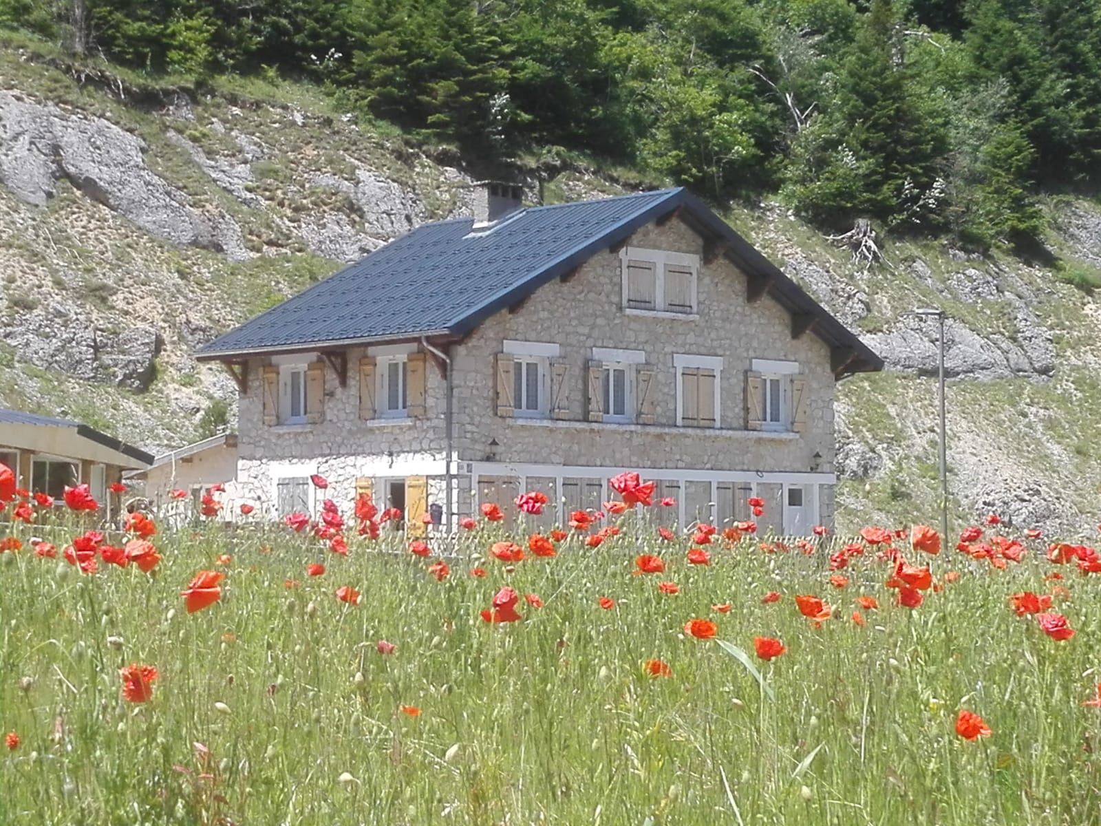Photo de l'hôtel restaurant Le Carnotzet en été. Au premier plan un champ de coquelicots