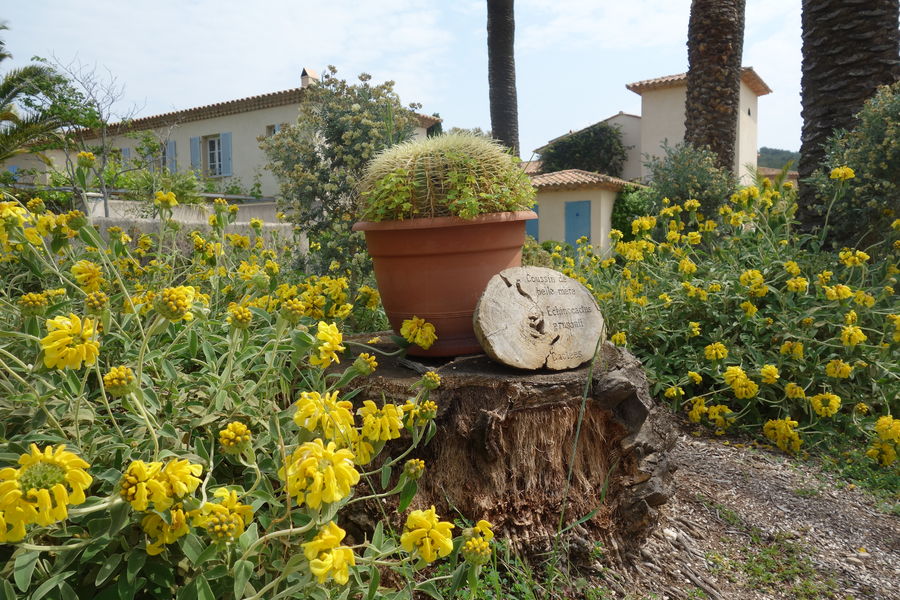 Jardin Emmanuel Lopez Porquerolles