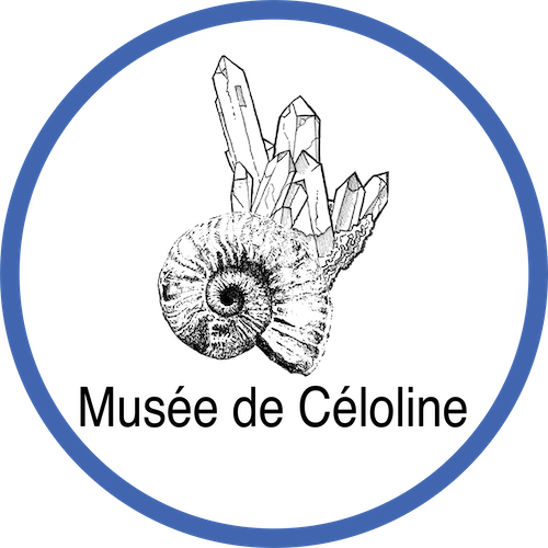 Musée de Céloline :  Minéraux et Fossiles