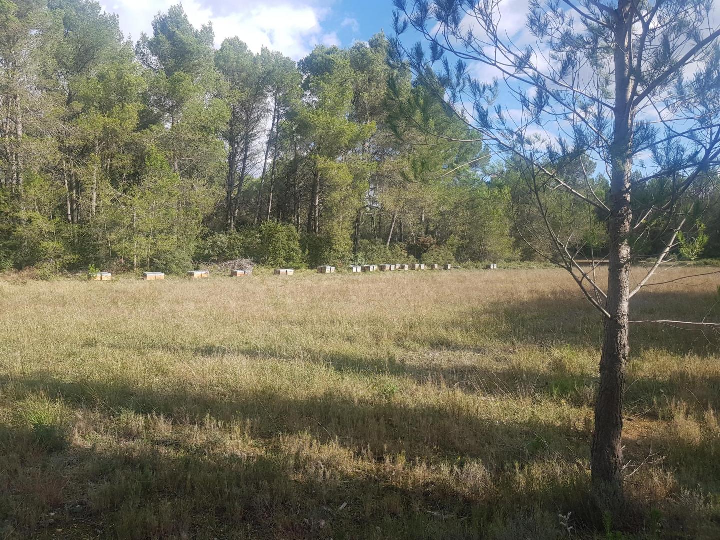 La Maison du Vallon - photo 5