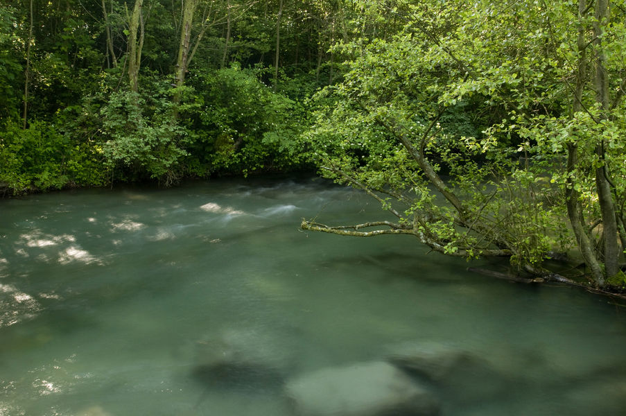 Le ruisseau des Blachères