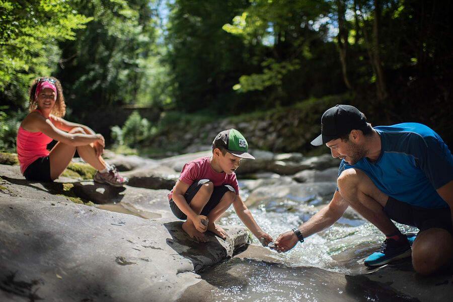 randonnée 1/2 journée