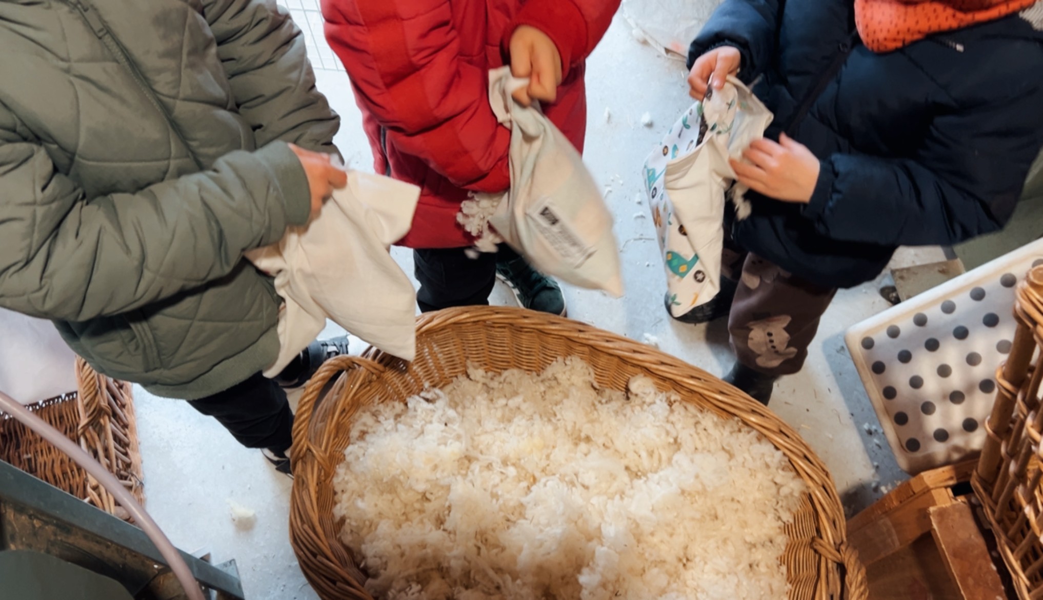 6h55 Atelier visite et découverte de la Laine