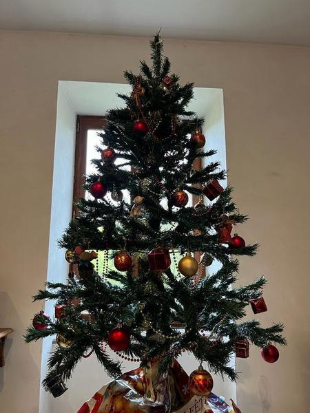 \'Gîte de Basse Comté\' (avec piscine chauffée) à Cublize (Rhône - Beaujolais Vert - Lac des Sapins) : un sapin de Noël vous attend pendant la période des fêtes !