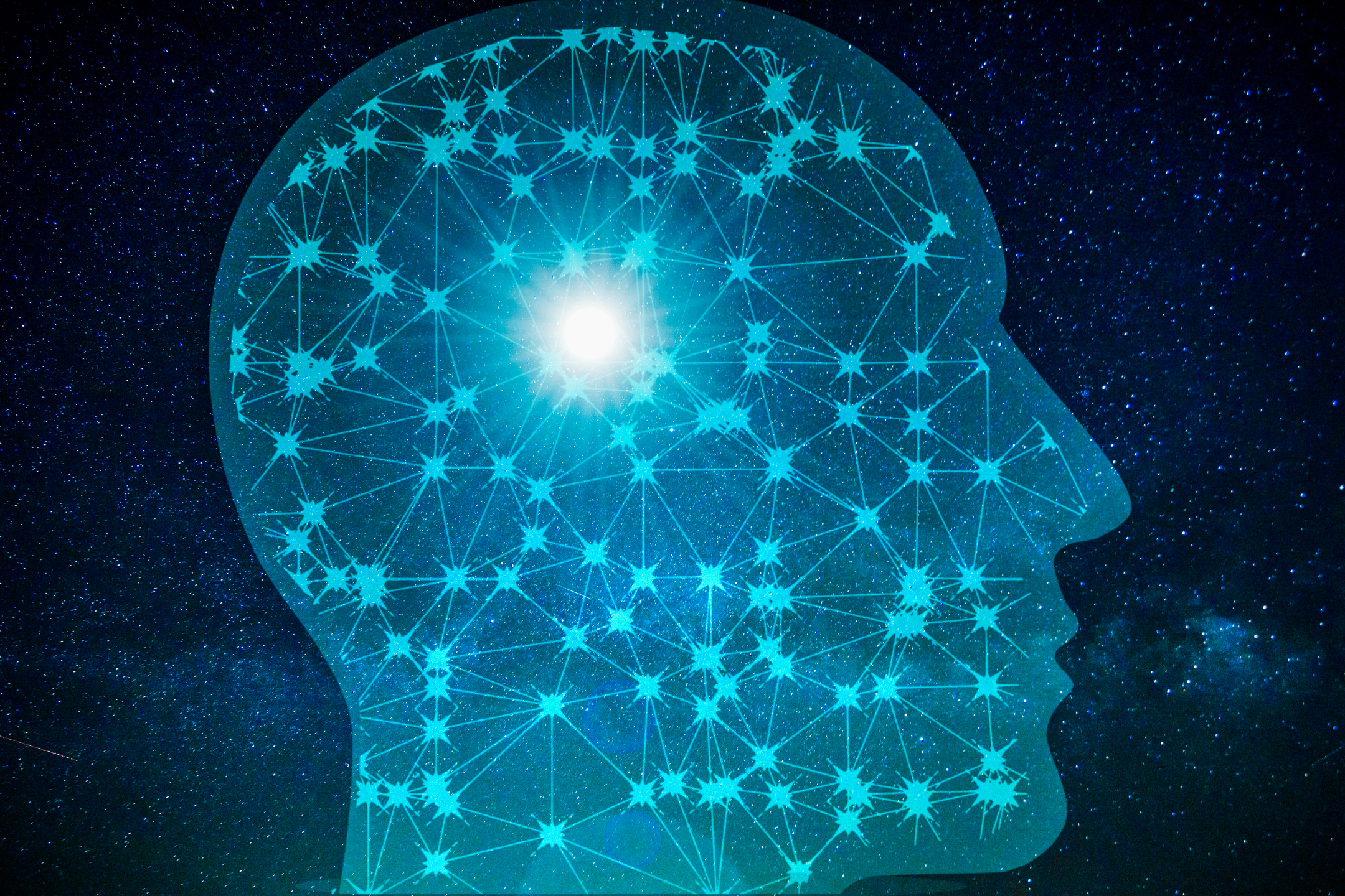 Le cerveau : pilote Automatique ? Qui décide vraiment quand la pression monte ?