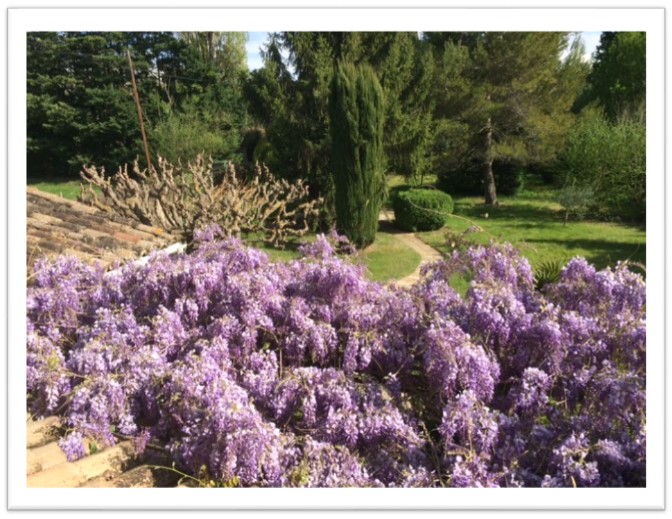 Mas de l'Avani, Plan-d'Orgon - photo 23