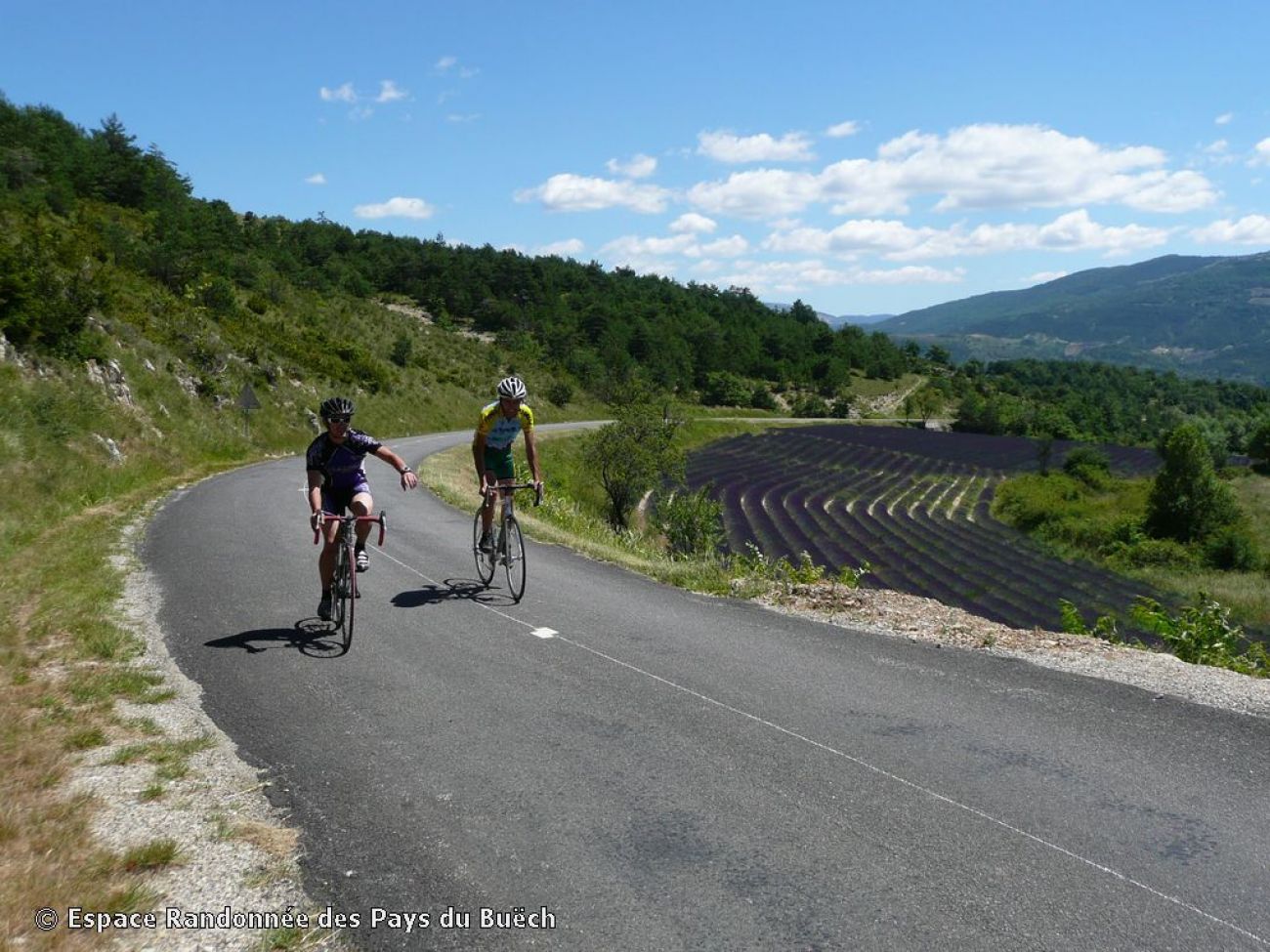 Circuit des 5 cols