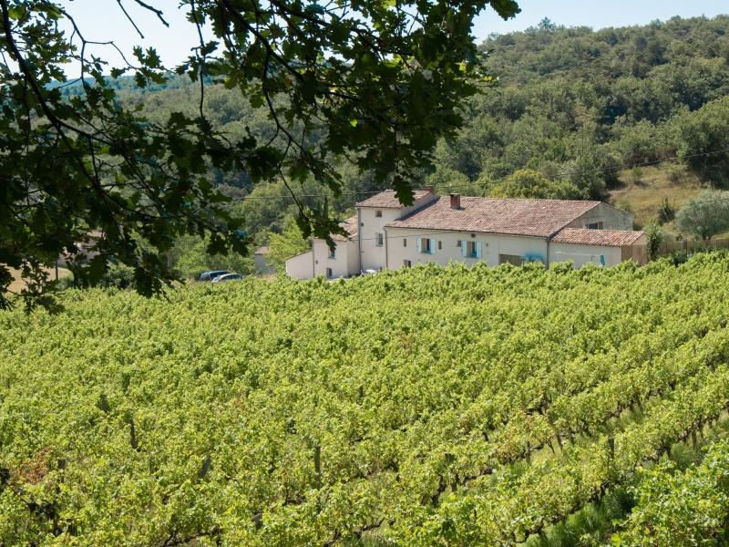 Vue sur la maison depuis les vignes