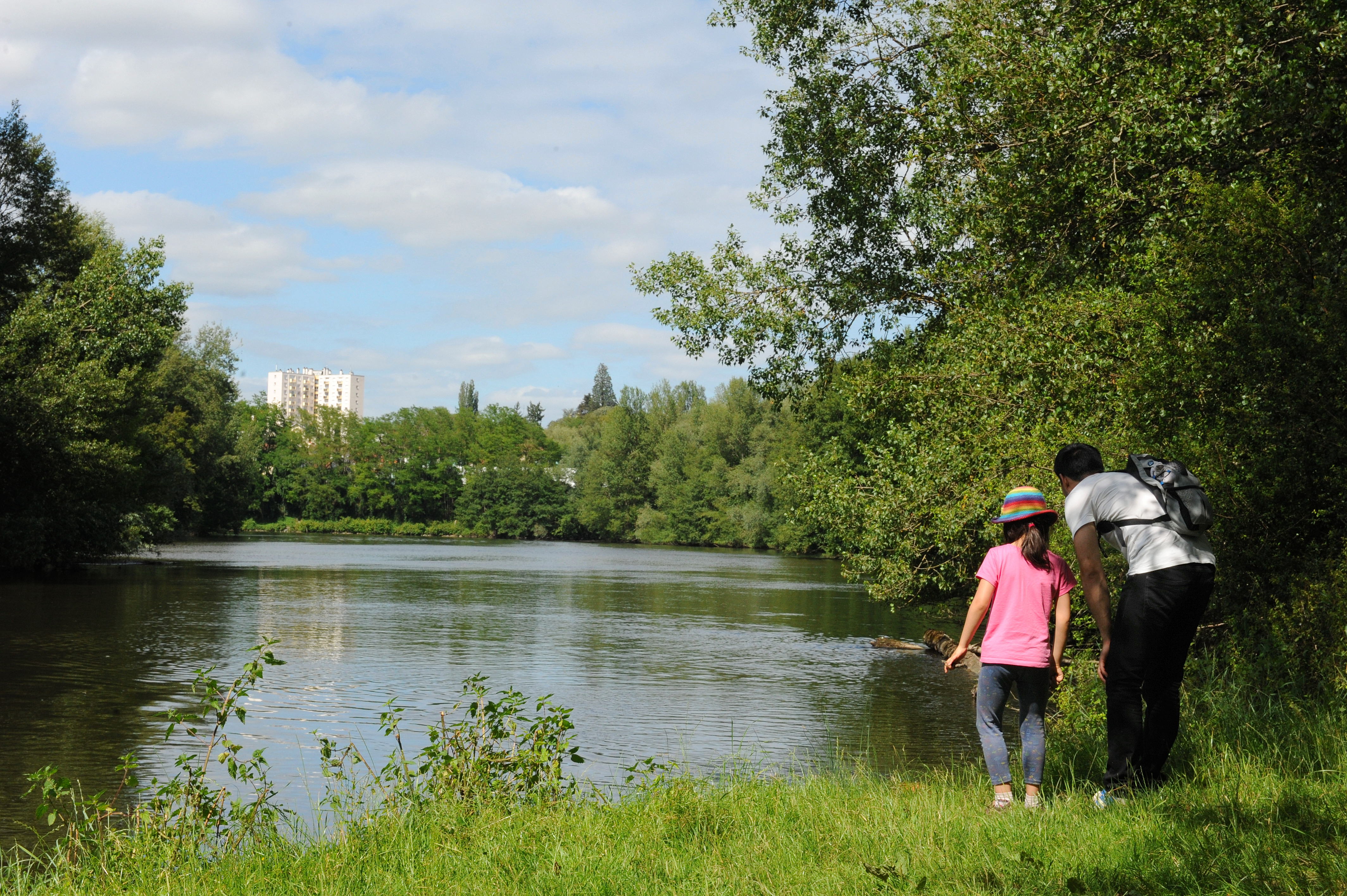 Bords de l'Allier entre Vichy et Abrest, ambiance nature