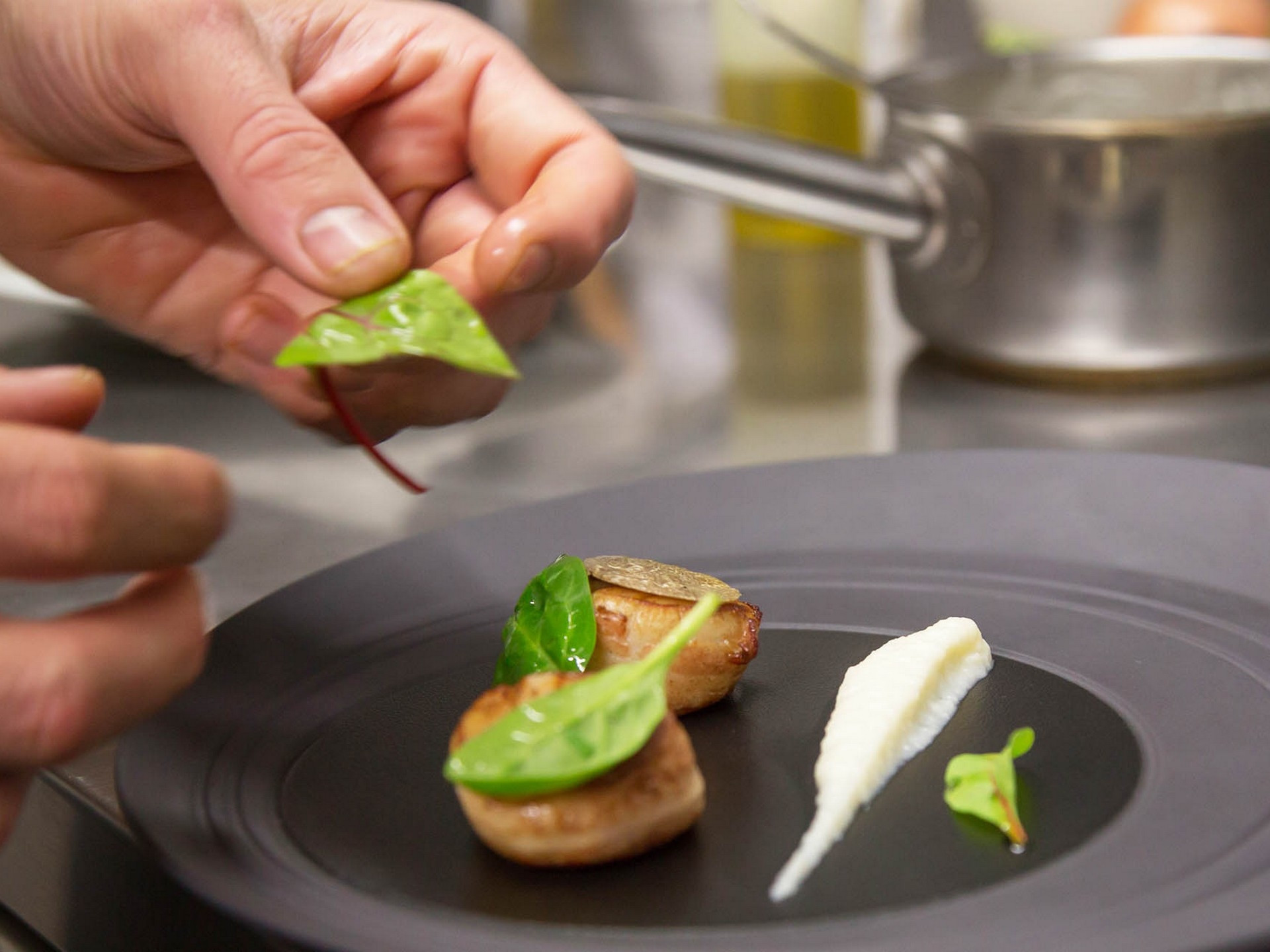 Vintrépide - photo 4