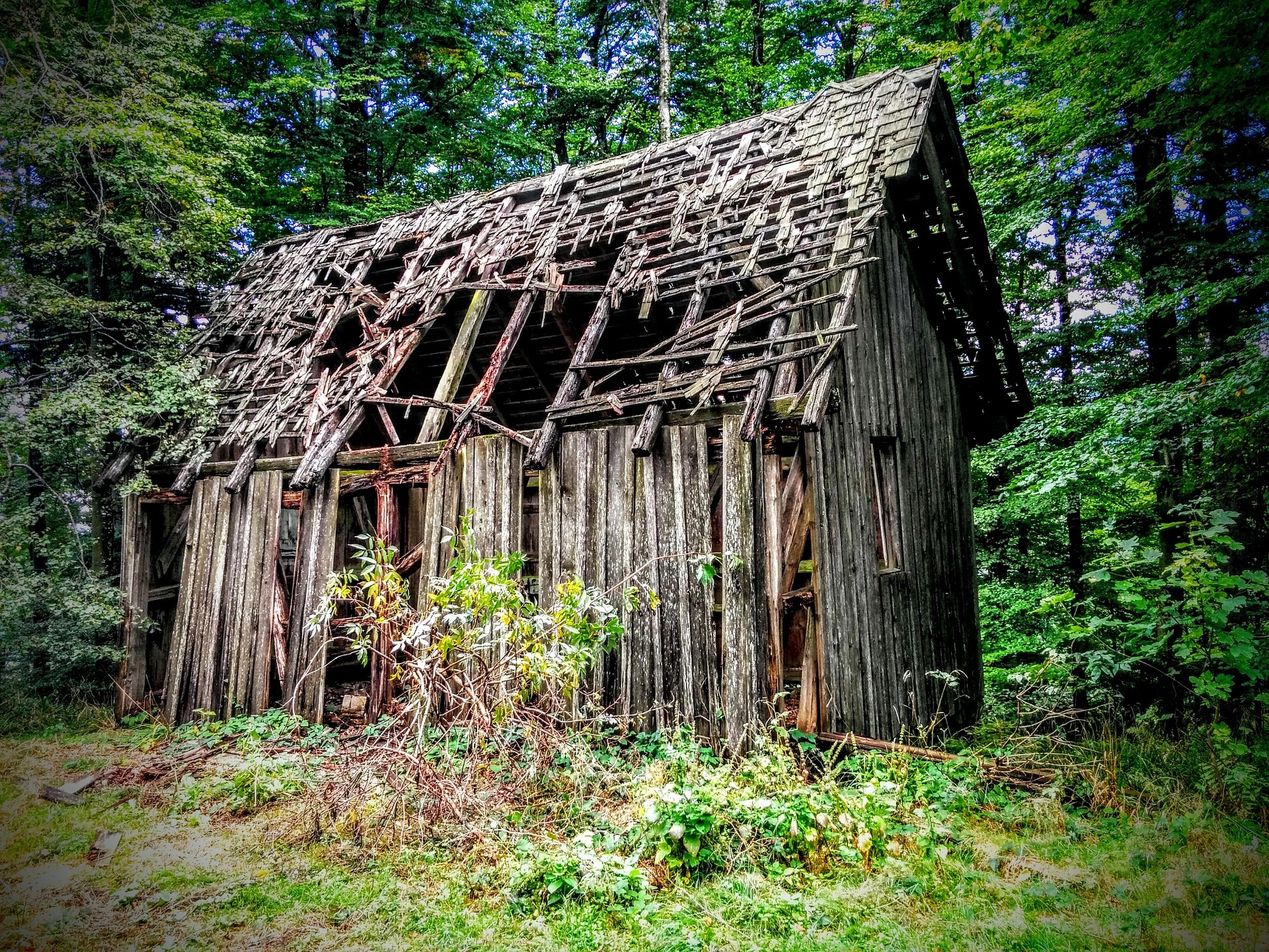 Vieille cabane dans les bois