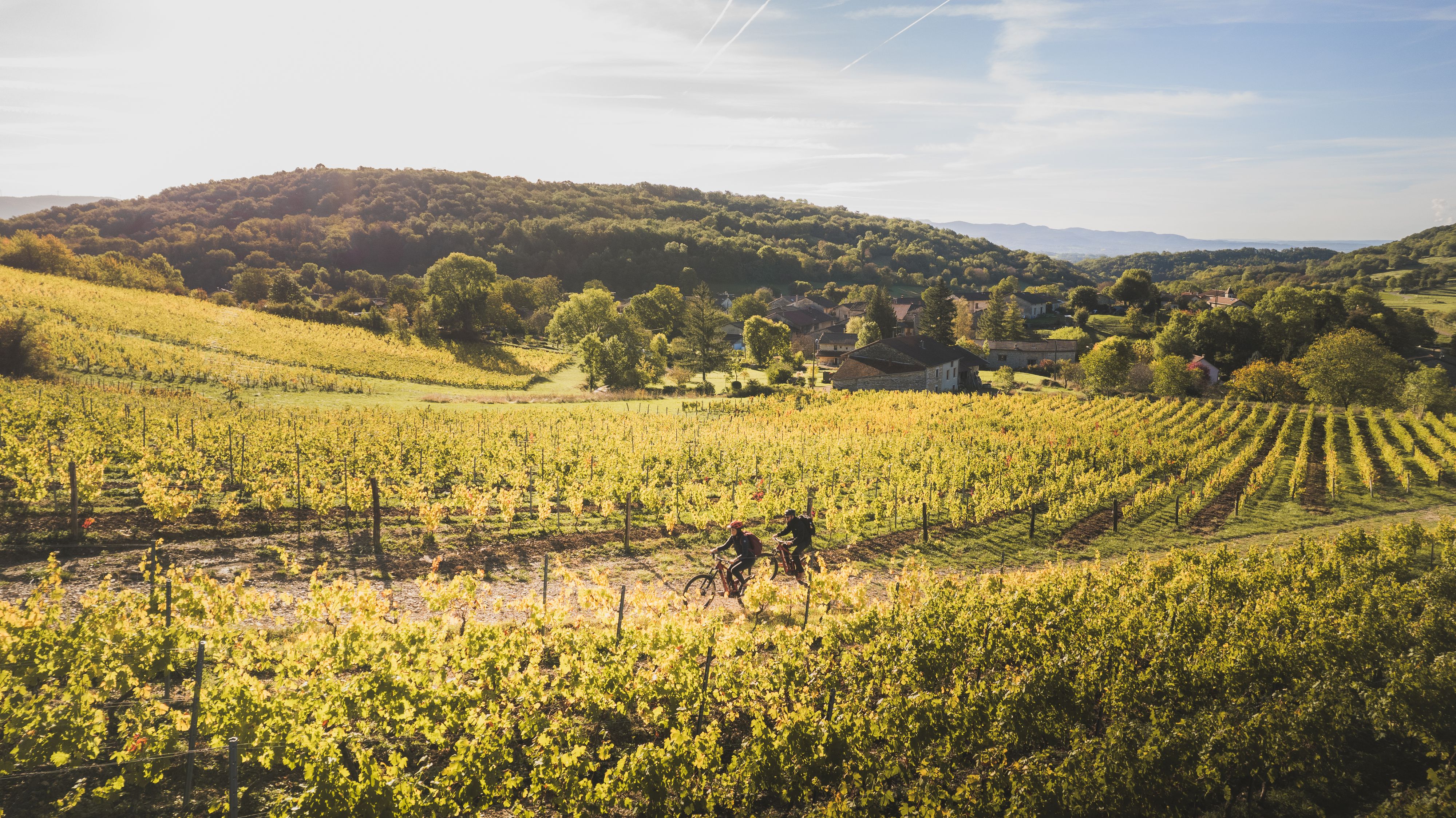 Circuit VTT n°21 (rouge) Vignoble du Revermont - Tour de Gravelles