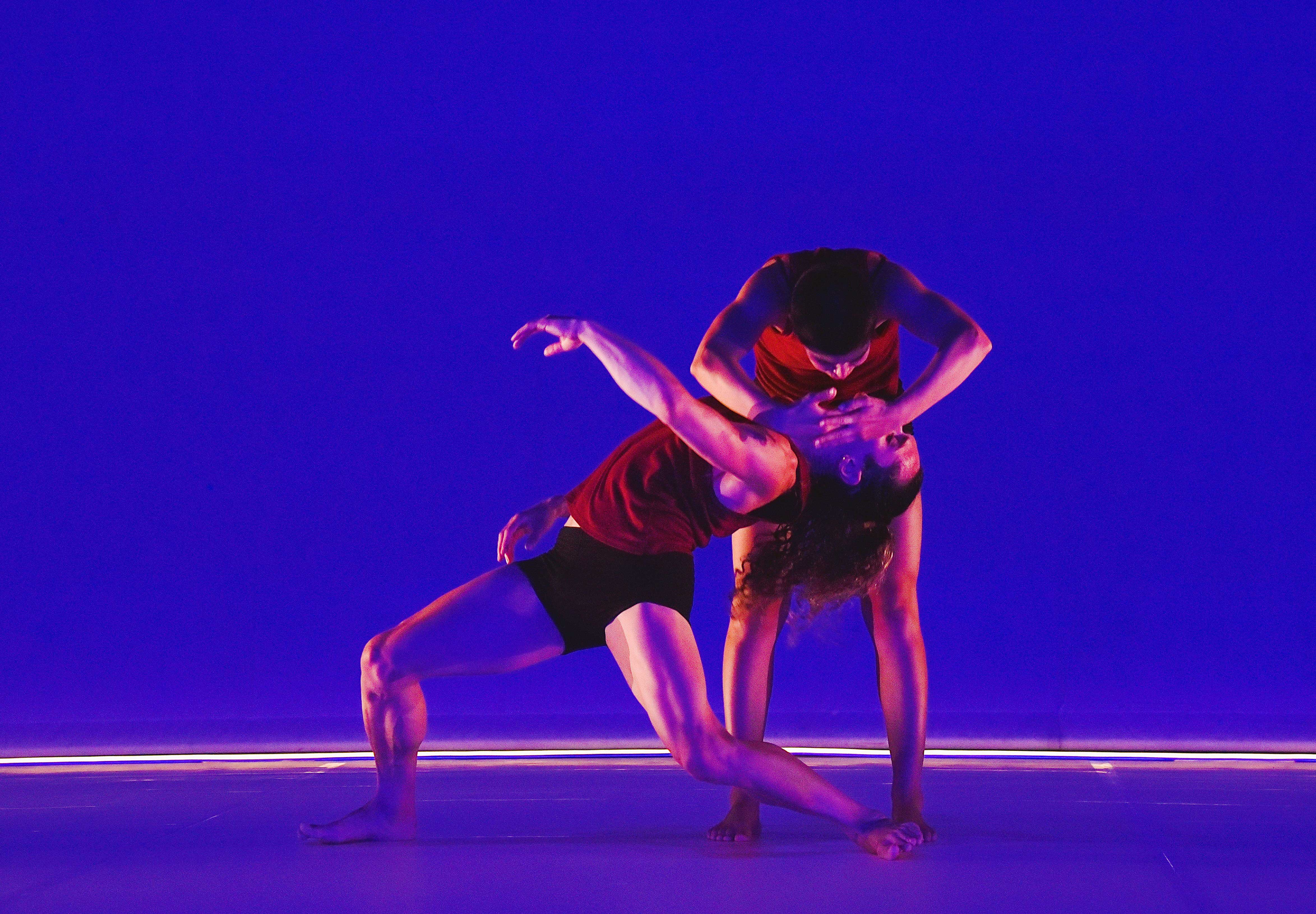 Spectacle - Josette Baïz - Tandem