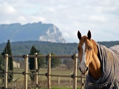 centre equestre les 4 tours venelles