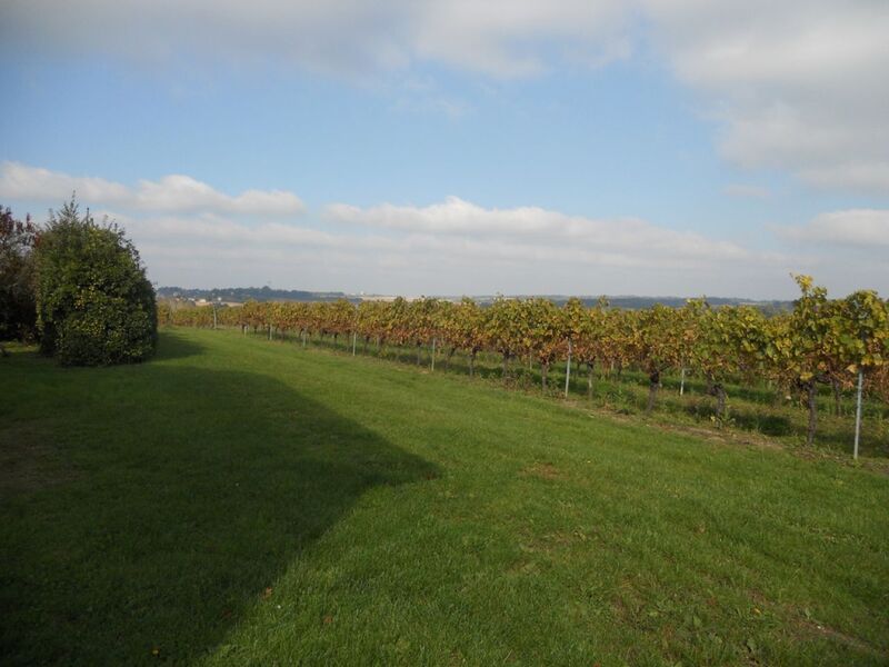 Aire camping-cars - Domaine de la Coussaie