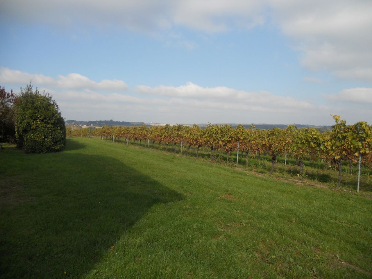 Aire camping-cars - Domaine de la Coussaie