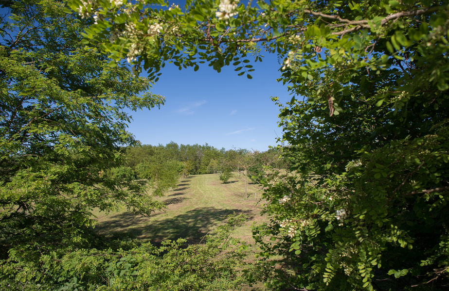 Arboretum de Beynost