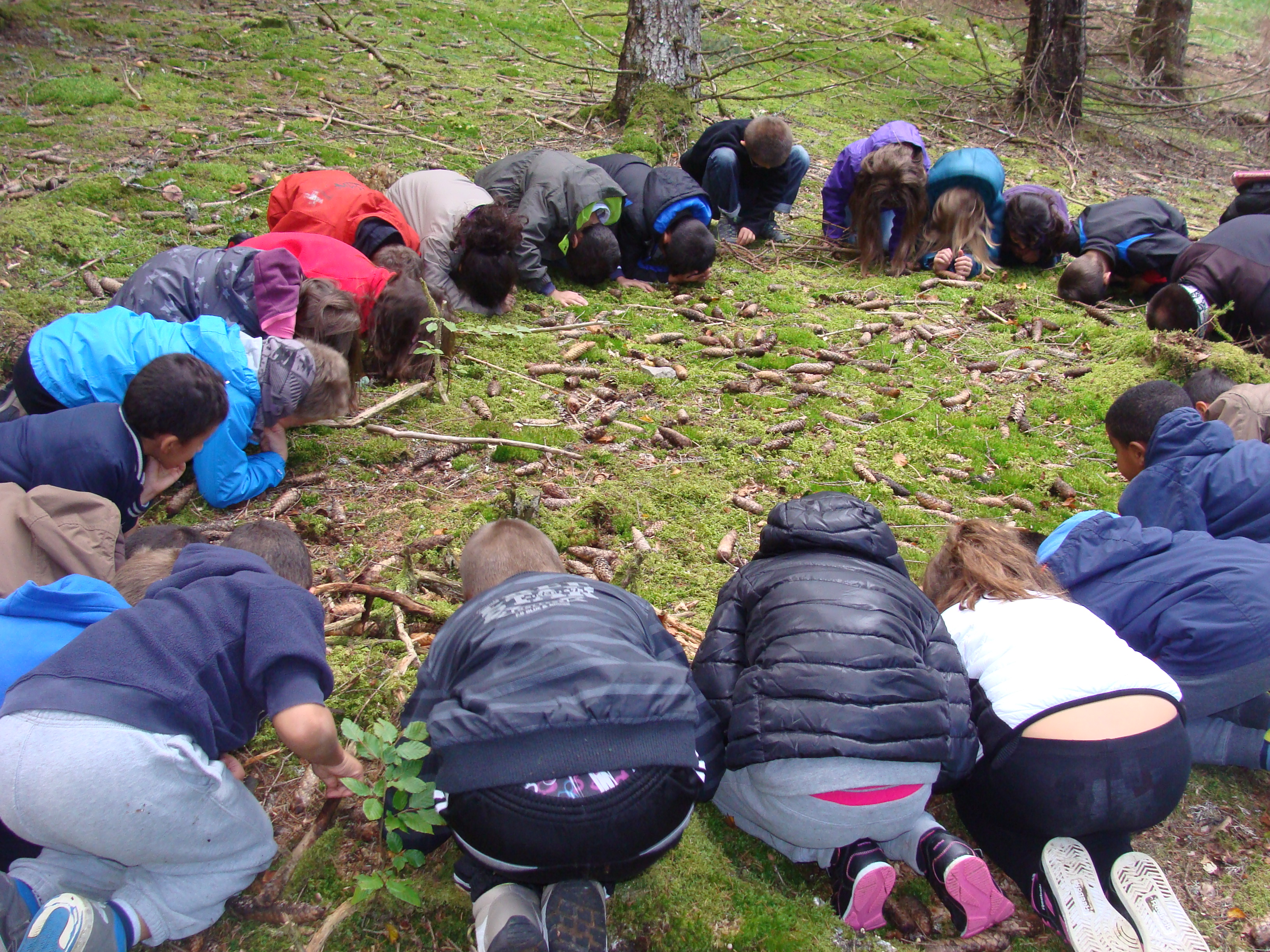 Voyages scolaires Vercors Yoga IDDJuniors