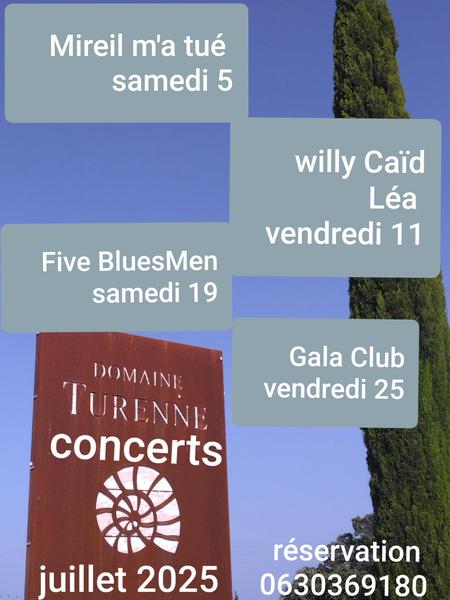 Soirées concerts au Domaine Turenne
