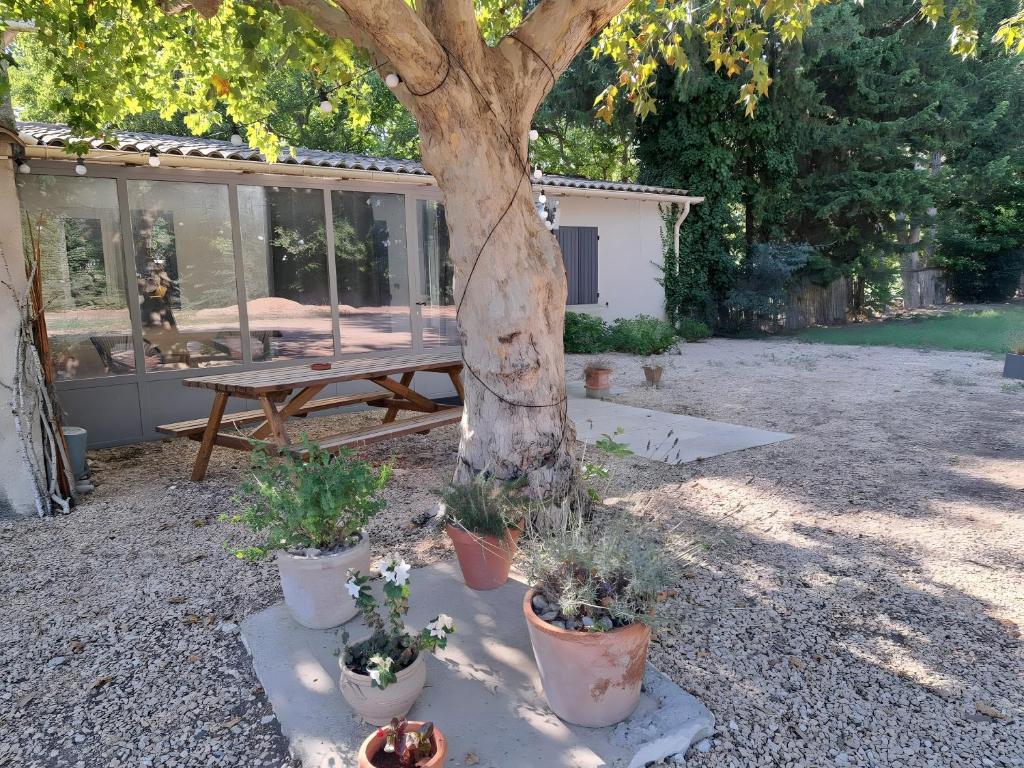 Gîte du Mistralet - photo 5