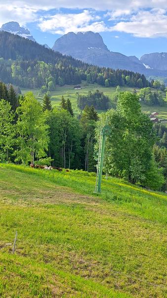 Balade aux portes des alpages - sentier pédestre_Cordon