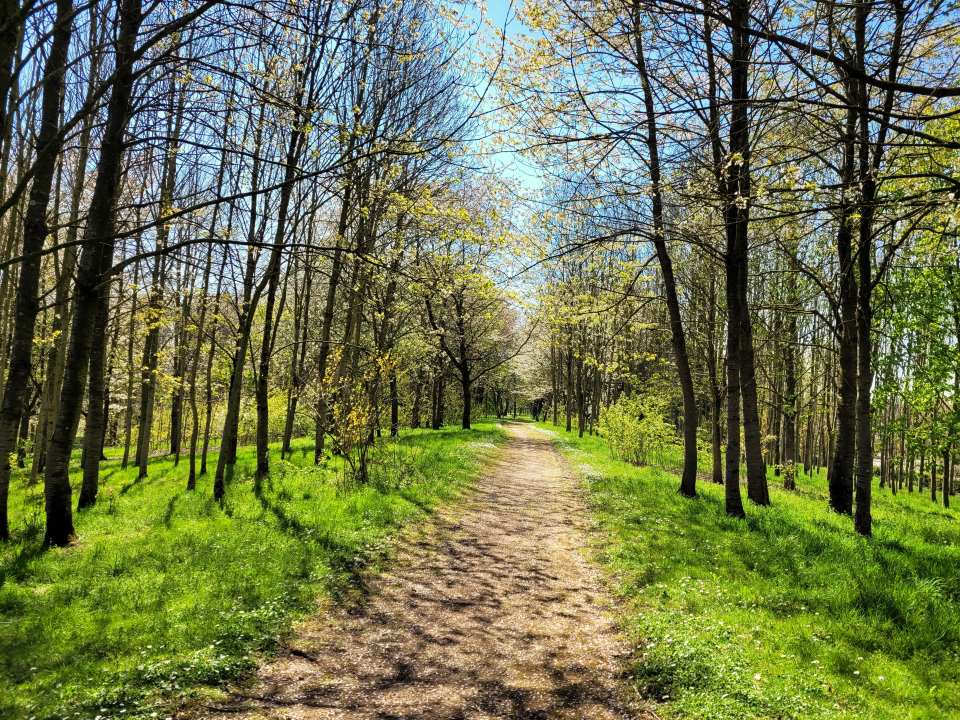 Parc des deux lacs - Villejust