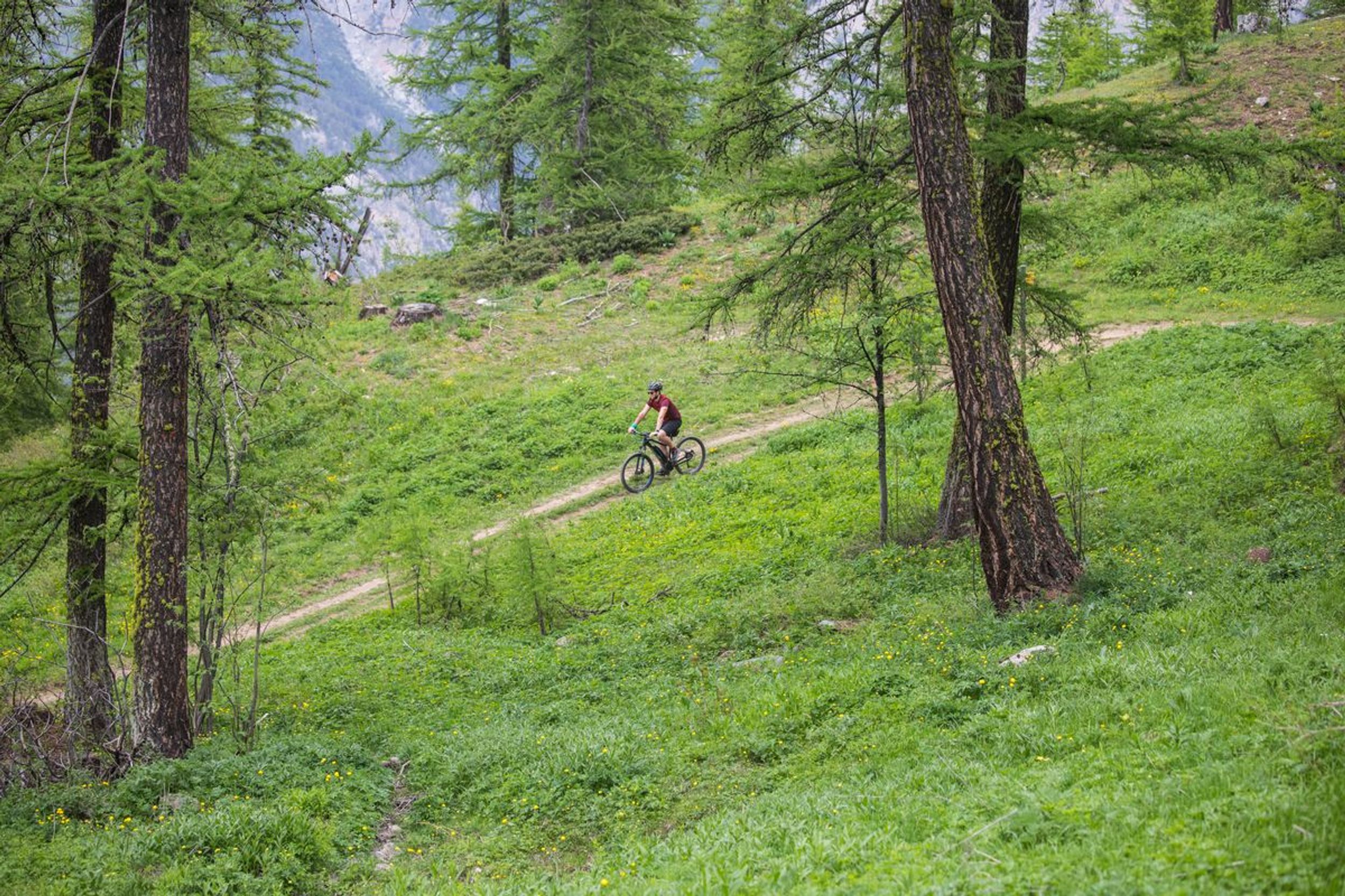 photosFeed-https://static.apidae-tourisme.com/filestore/objets-touristiques/images/166/18/30741158.jpg