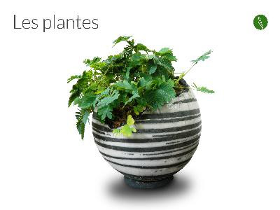 Amandine Poulain - photo 5