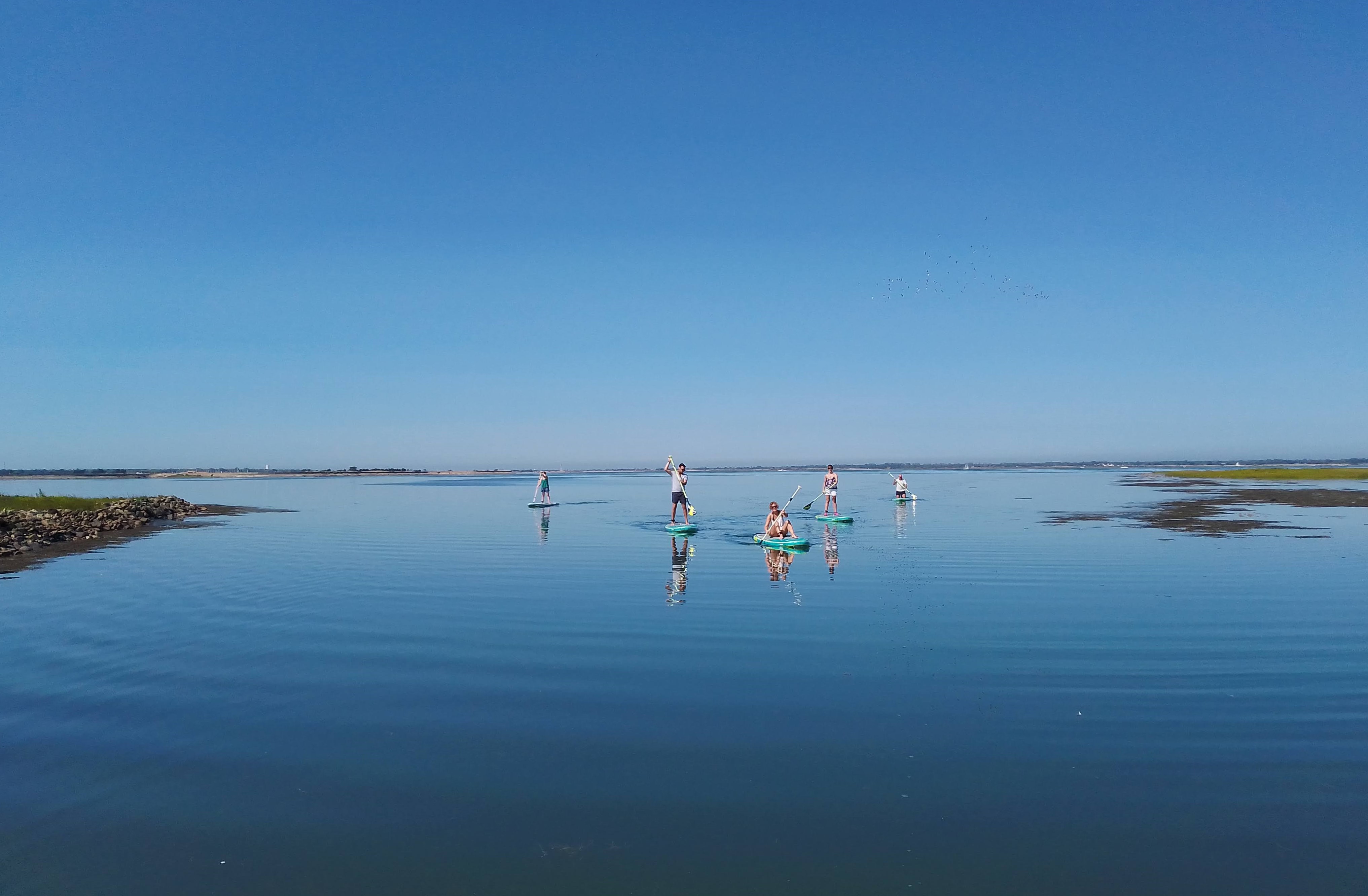 Randonnée en stand-up paddle dans les espaces naturels par Sup Evasion à Loix