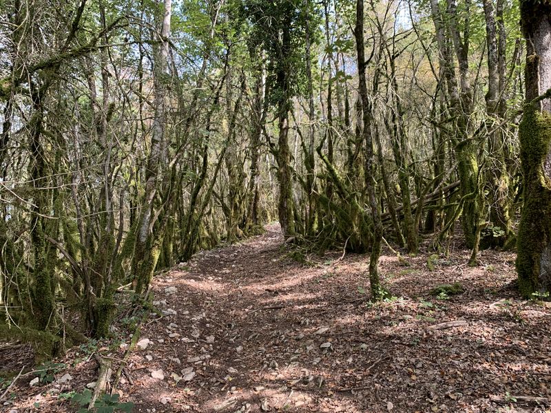 Rando - L'épaulette de Cize-Bolozon