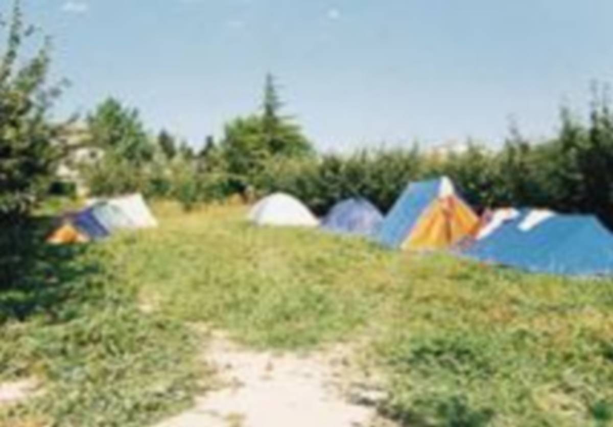 Les Pommiers de Provence