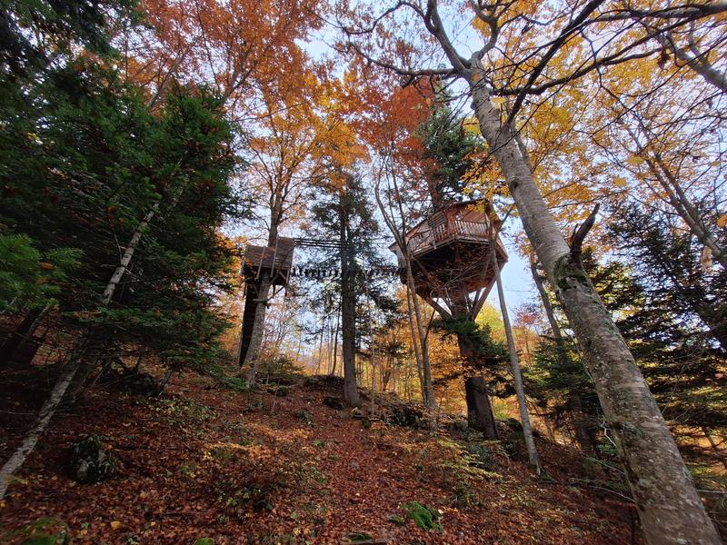 Nuits de Cîmes - La petite cabane_Château-Bernard