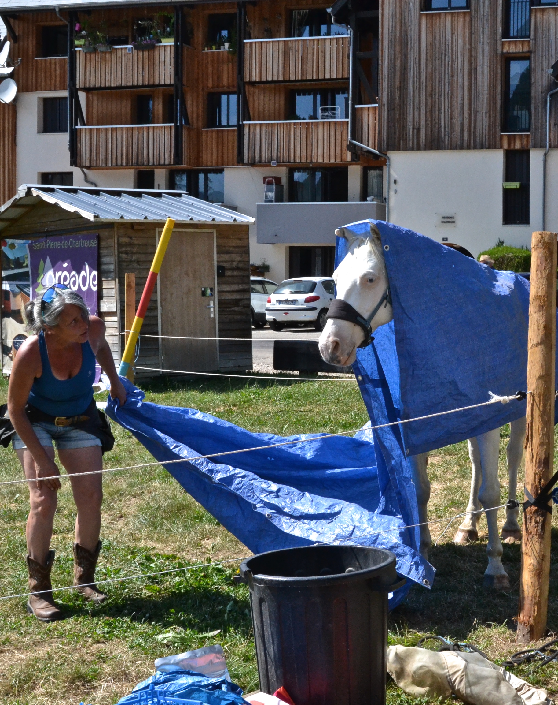Initiation à l'apprentissage en renforcement positif (R+ / Clicker training)