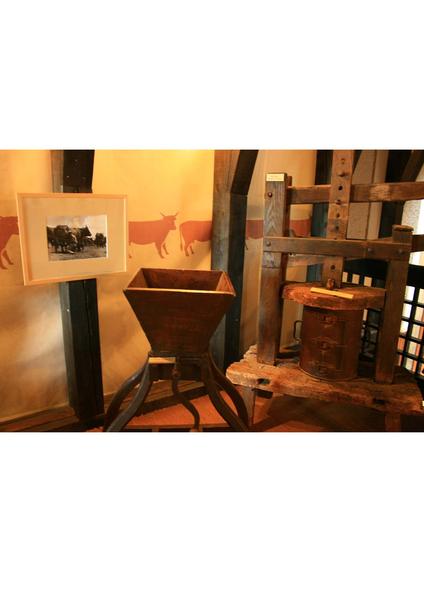 Exposition des fromages AOP d'Auvergne à la Maison des Fromages
