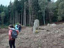 Sylvetum du  Bois des Gaulois