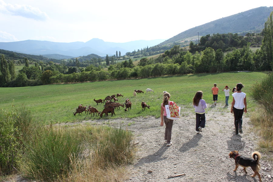 Visite de la ferme découverte les Jassines