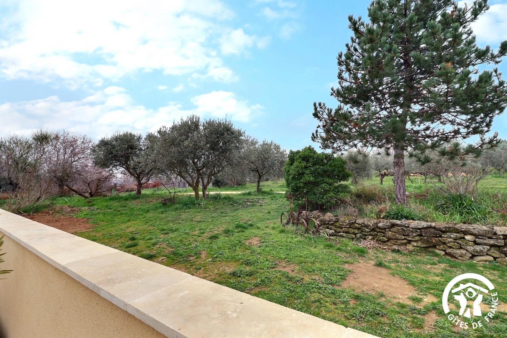 La Feniere, Vernègues - photo 22