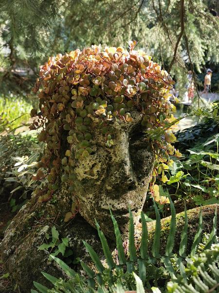 Jardin des Fontaines Pétrifiantes
