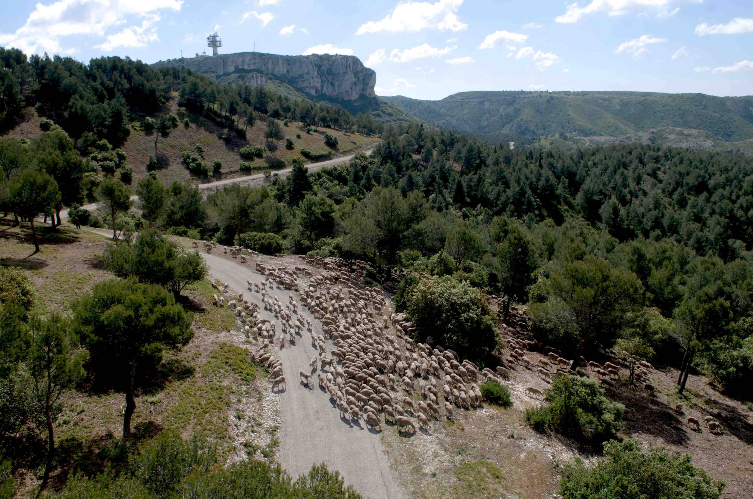 EYGALIÈRES - La Routo : le chemin de Baume Brignolle