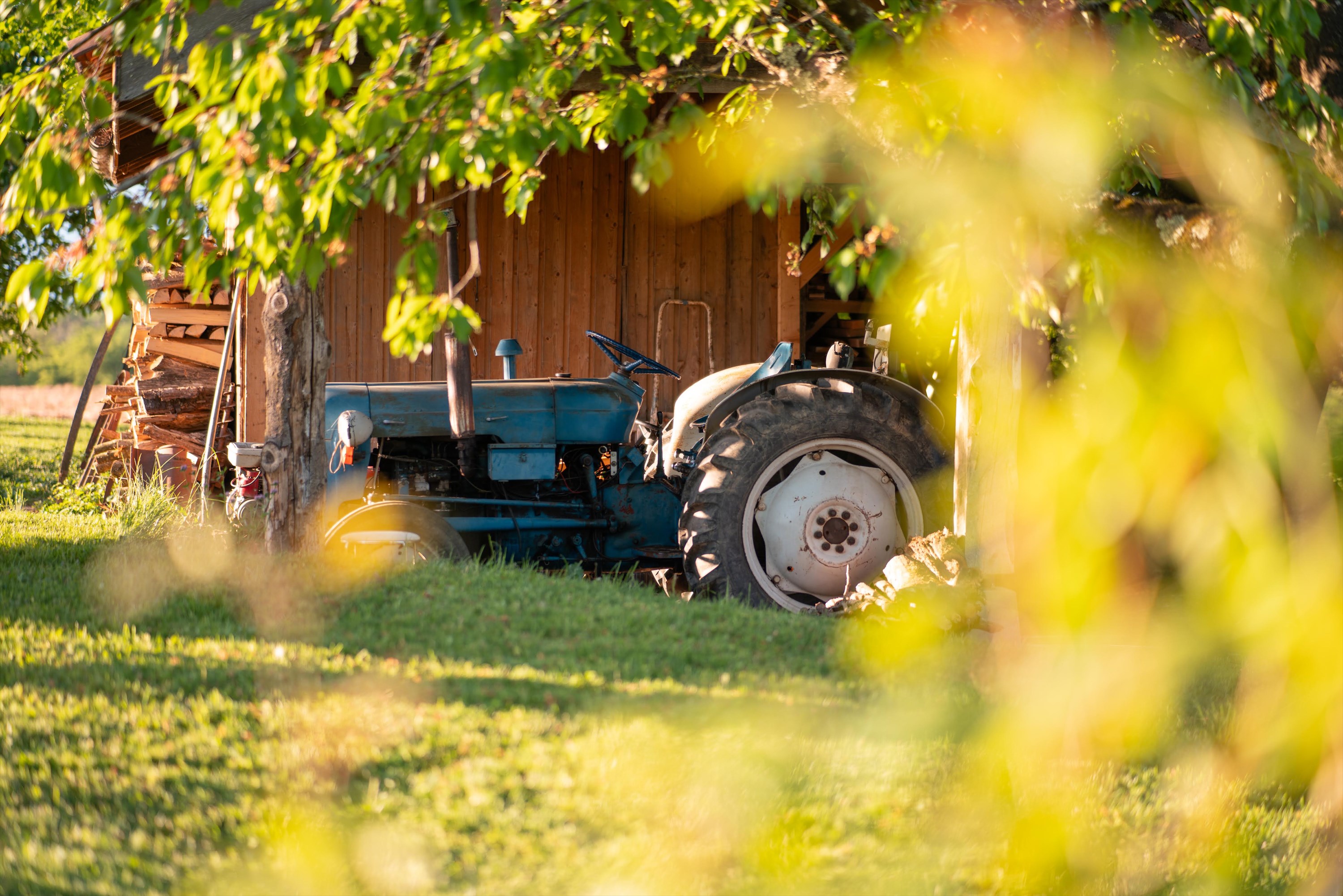 tracteur dans le jardin