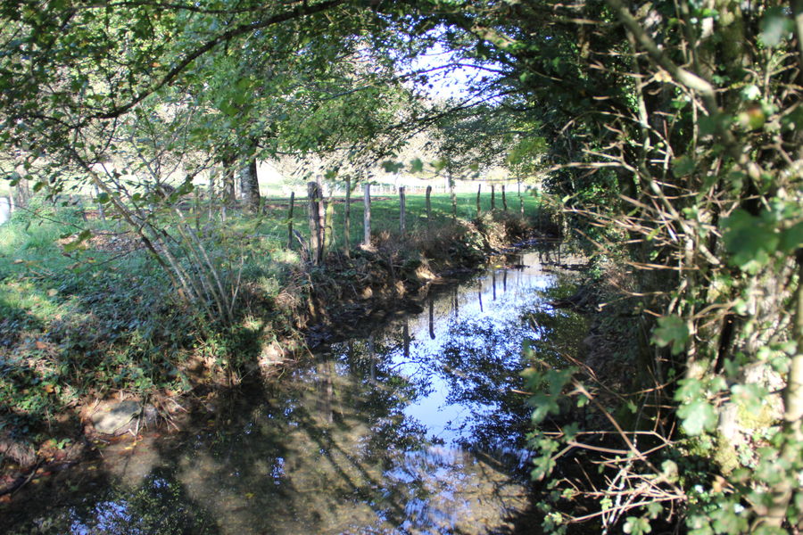 Grotte de la Roche - Salavre