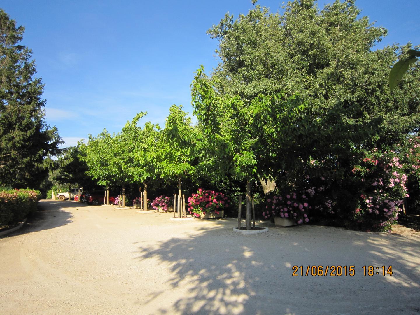 Lou Paty, Saint-Martin-de-Crau - photo 23