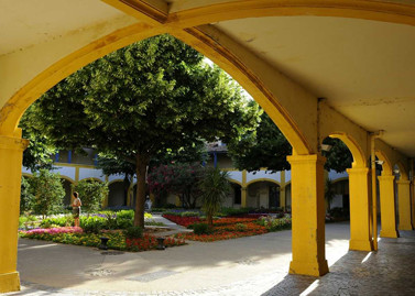 La Galerie Itinérante de l'IUP AIC