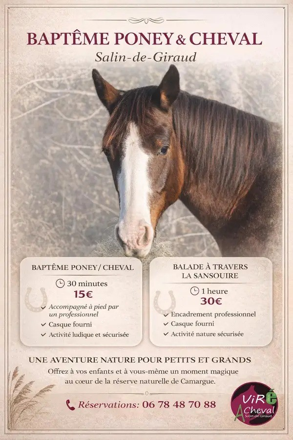 Balade poney & cheval à Salin de Giraud