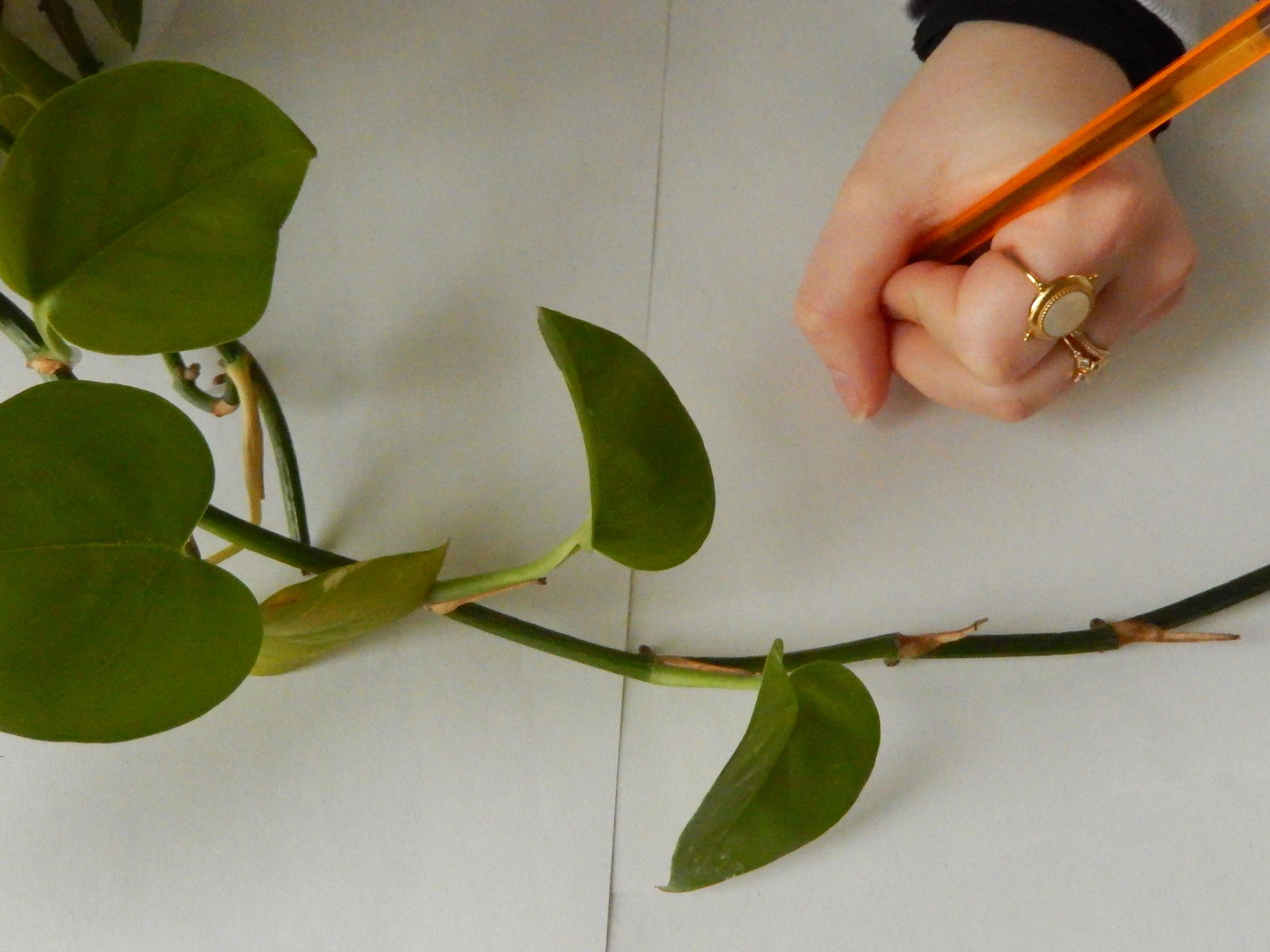 Animation - Atelier d'écriture sensorielle