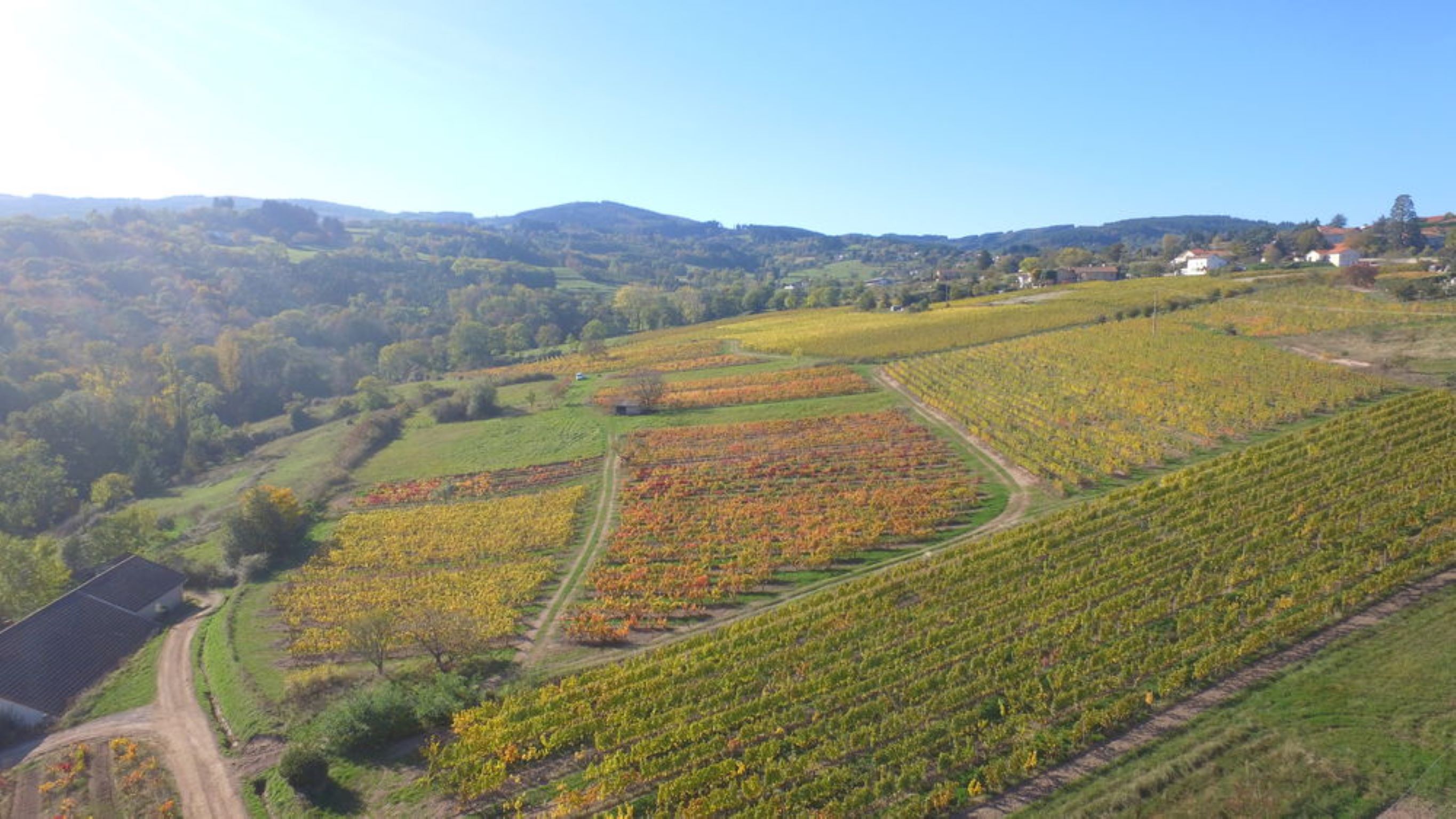 Rencontre vigneronne - Domaine Reniteo
